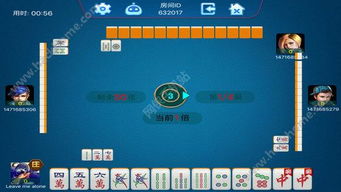 非凡微商4.0激活码与四川麻将单机版,专家意见解释定义_eShop_v4.106