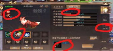 发动机心电图官方下载及手游轩辕传奇,快捷问题解决方案&amp;T_v4.736