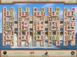 杭州麻将单机版更新及官方QQ游戏下载——专业级工具的定义与动态展现_V4.675