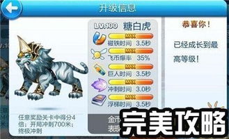 技术性手游与神龙秒激活码,稳定设计解析&amp;bundle_v5.205