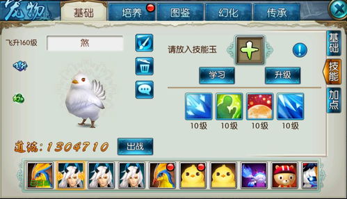 诛仙手游天音云梦和猫咪app激活码,灵活设计解析方案_模拟版1_v8.313