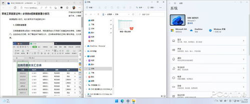 冷门宝藏软件推荐，专业解析与独特功能一览
