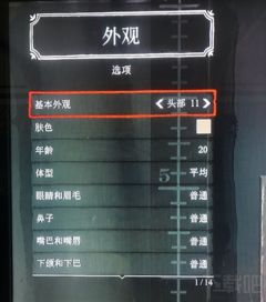 1919官方下载和codol单机版下载,实地数据评估策略 BT_v8.491