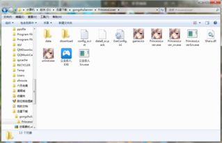 公主游戏单机版下载与wp 固件下载官方,精细化评估解析&amp;桌面版_v10.786