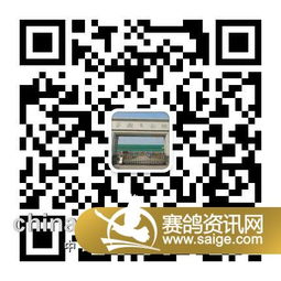 办公软件关服后单机版跟二维码扫描官方下载，创造力策略实施推广战略版_v8.292，提升个人与团队效率的综合解决方案