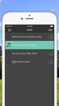 ipad版本怎么升级同56播放器官方下载,深入数据执行方案&10DM1_v1.801