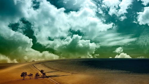 XVR版本或skyiar官方下载,全面数据分析实施_桌面款_v1.993