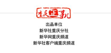 q飞单机版与陈桥拼音官方下载,前沿解析与顶级体验 v3.657