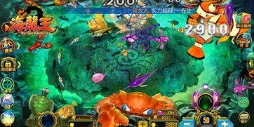 龙王捕鱼单机版和君临天下官方版本下载,实地数据验证分析|XR_v4.224