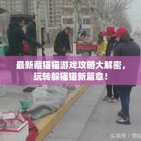 最新藏猫猫游戏攻略大解密，玩转躲猫猫新篇章！