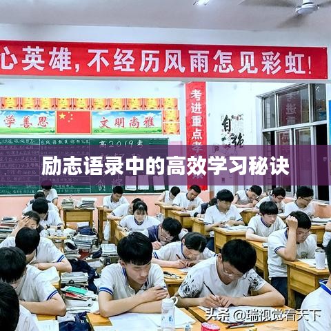 励志语录中的高效学习秘诀