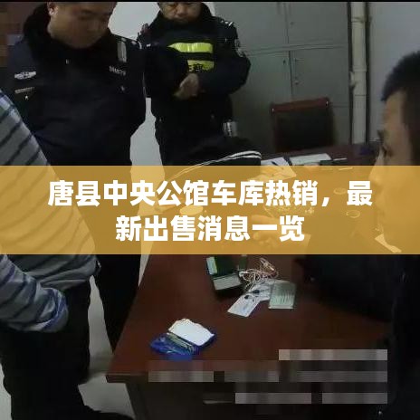 唐县中央公馆车库热销，最新出售消息一览