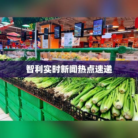 惊弦之鸟 第2页