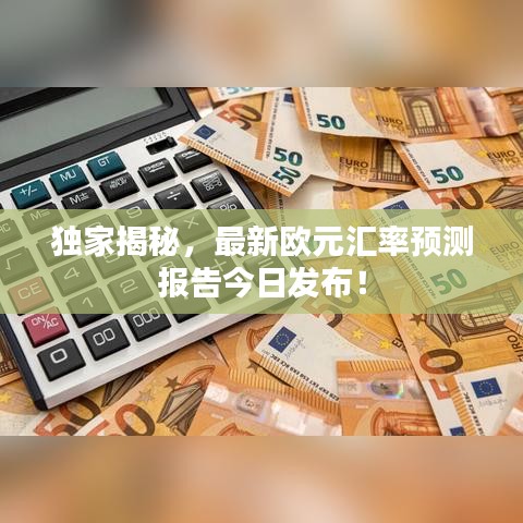 独家揭秘，最新欧元汇率预测报告今日发布！