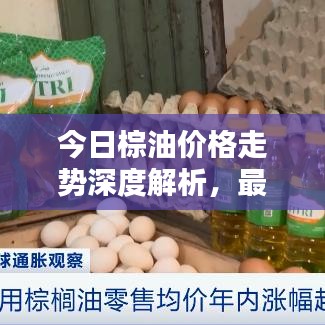 今日棕油价格走势深度解析，最新动态与预测