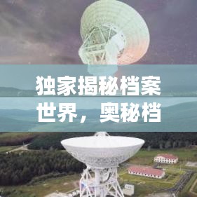 望其项背 第2页