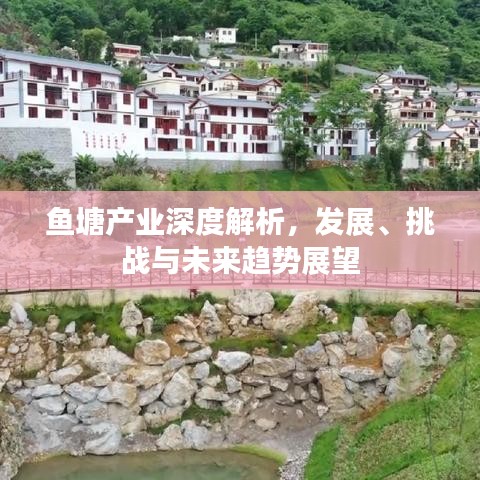 鱼塘产业深度解析，发展、挑战与未来趋势展望