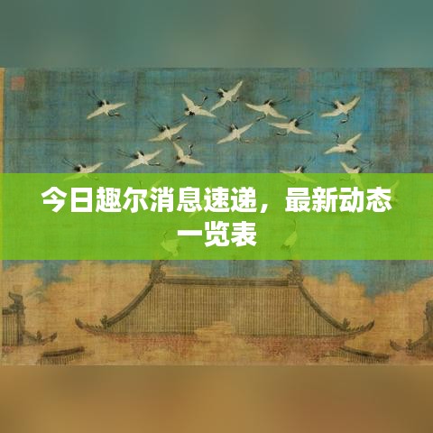 今日趣尔消息速递，最新动态一览表