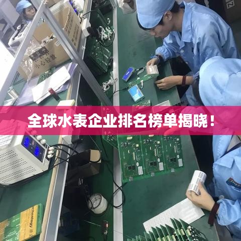 全球水表企业排名榜单揭晓！