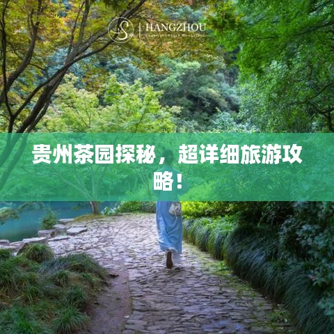 贵州茶园探秘，超详细旅游攻略！