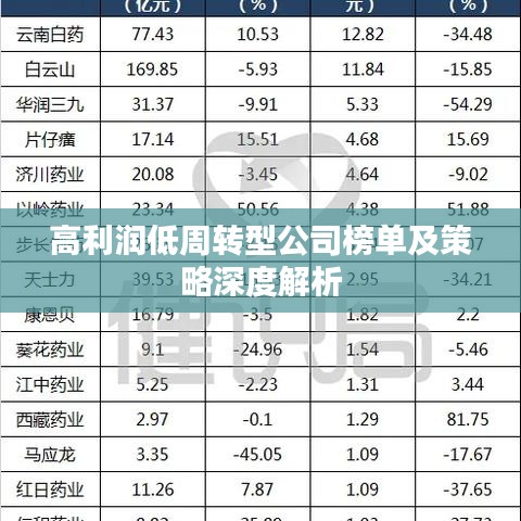 高利润低周转型公司榜单及策略深度解析