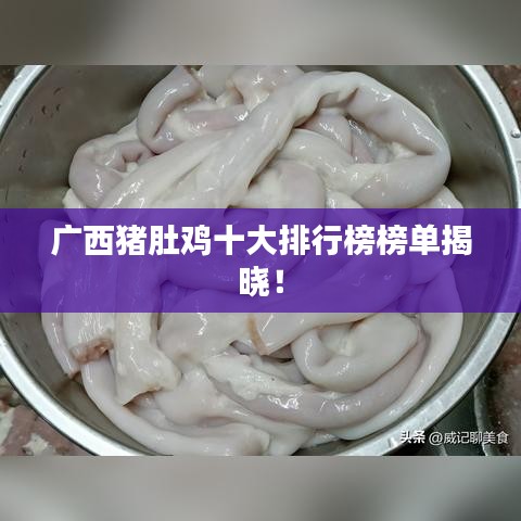 广西猪肚鸡十大排行榜榜单揭晓！