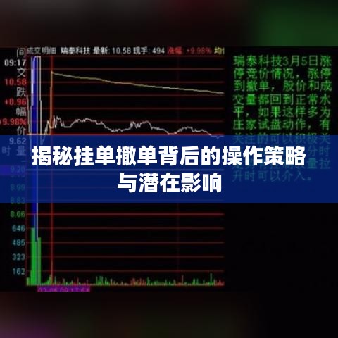揭秘挂单撤单背后的操作策略与潜在影响