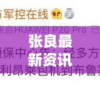 张良最新资讯曝光