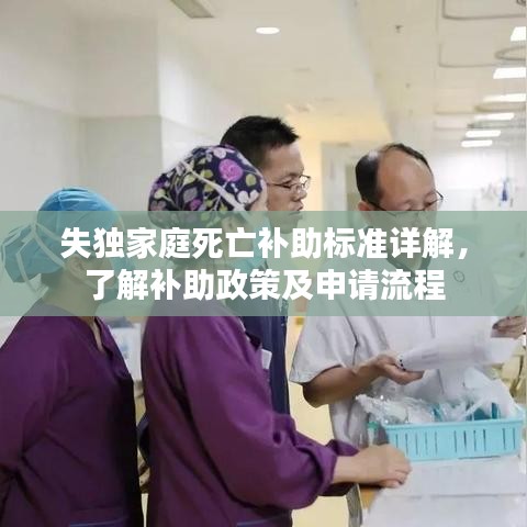 失独家庭死亡补助标准详解，了解补助政策及申请流程