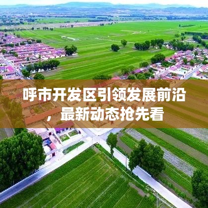 呼市开发区引领发展前沿，最新动态抢先看