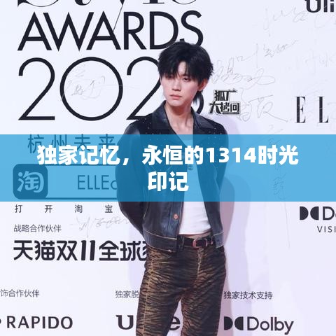 独家记忆，永恒的1314时光印记
