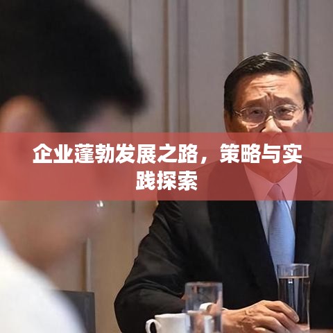 企业蓬勃发展之路，策略与实践探索