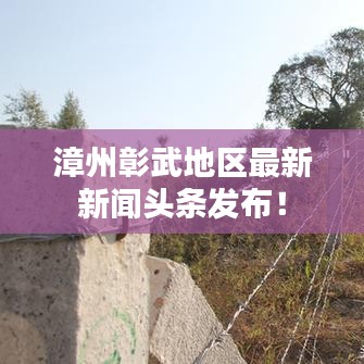 漳州彰武地区最新新闻头条发布！