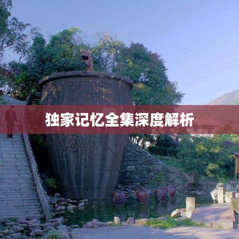 独家记忆全集深度解析