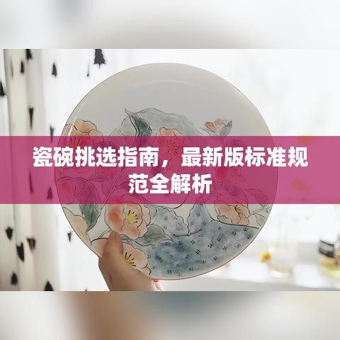 瓷碗挑选指南，最新版标准规范全解析