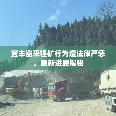 宜丰盗采锂矿行为遭法律严惩，最新进展揭秘