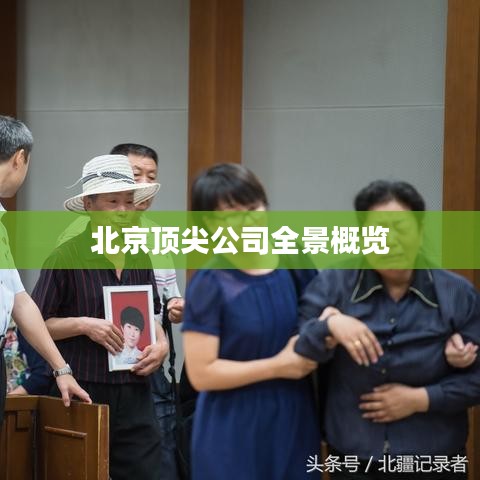 北京顶尖公司全景概览
