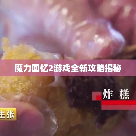 魔力回忆2游戏全新攻略揭秘