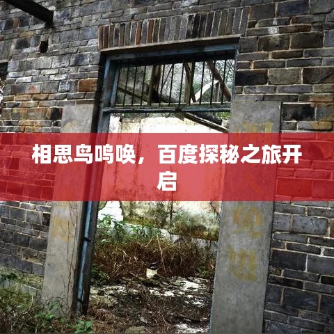 相思鸟鸣唤，百度探秘之旅开启