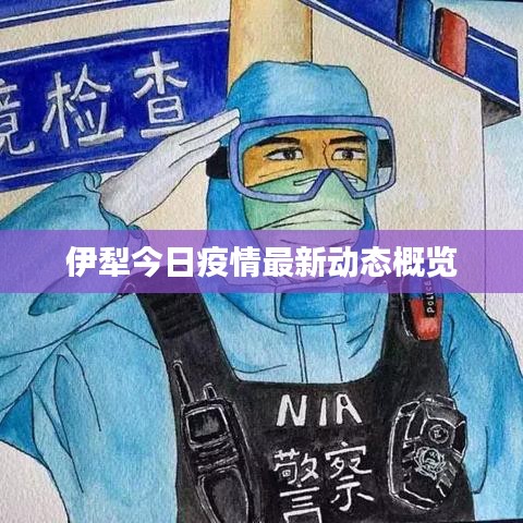 伊犁今日疫情最新动态概览