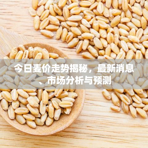 今日麦价走势揭秘，最新消息、市场分析与预测