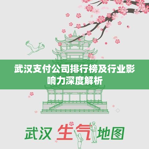 武汉支付公司排行榜及行业影响力深度解析