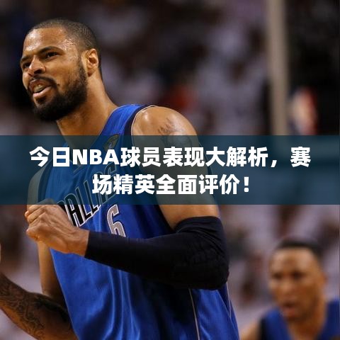 今日NBA球员表现大解析，赛场精英全面评价！