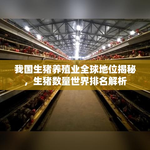 我国生猪养殖业全球地位揭秘，生猪数量世界排名解析