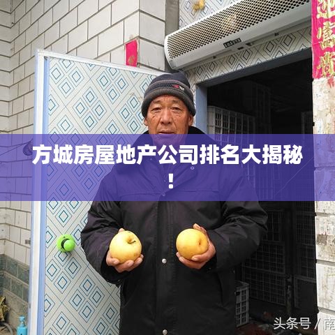 方城房屋地产公司排名大揭秘！