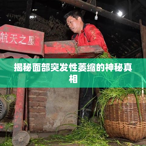 揭秘面部突发性萎缩的神秘真相