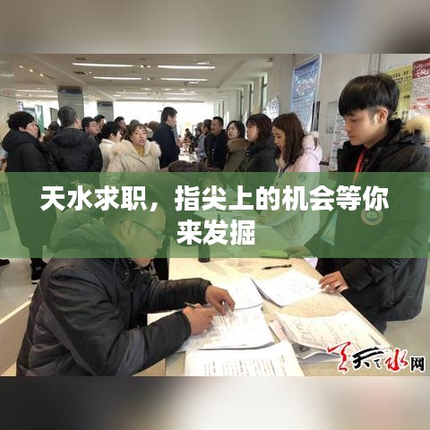 天水求职，指尖上的机会等你来发掘