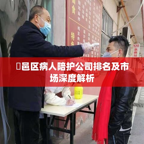 鄠邑区病人陪护公司排名及市场深度解析