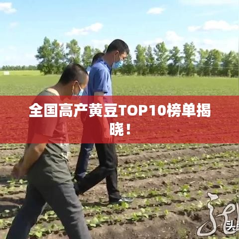 全国高产黄豆TOP10榜单揭晓！