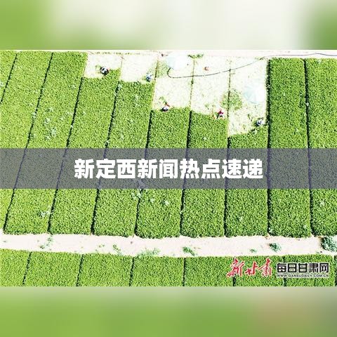 新定西新闻热点速递